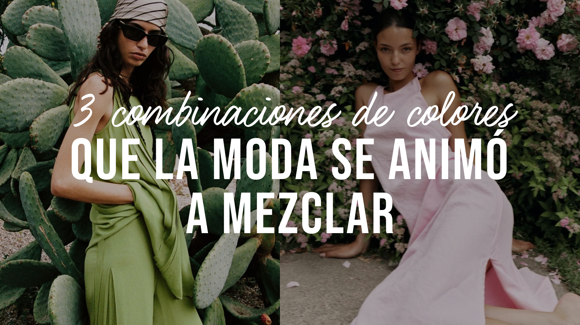 NOTA BLOG 20
